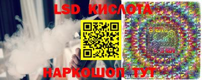 бошки Бийск