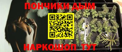 бошки Бийск