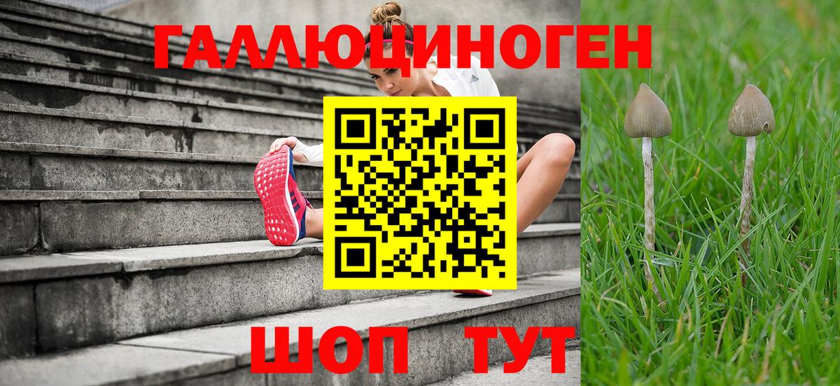 Калуга  Галлюциногенные грибы ЛСД  Вход с VPN  Галлюциногенные грибы Psilocybine cubensis 